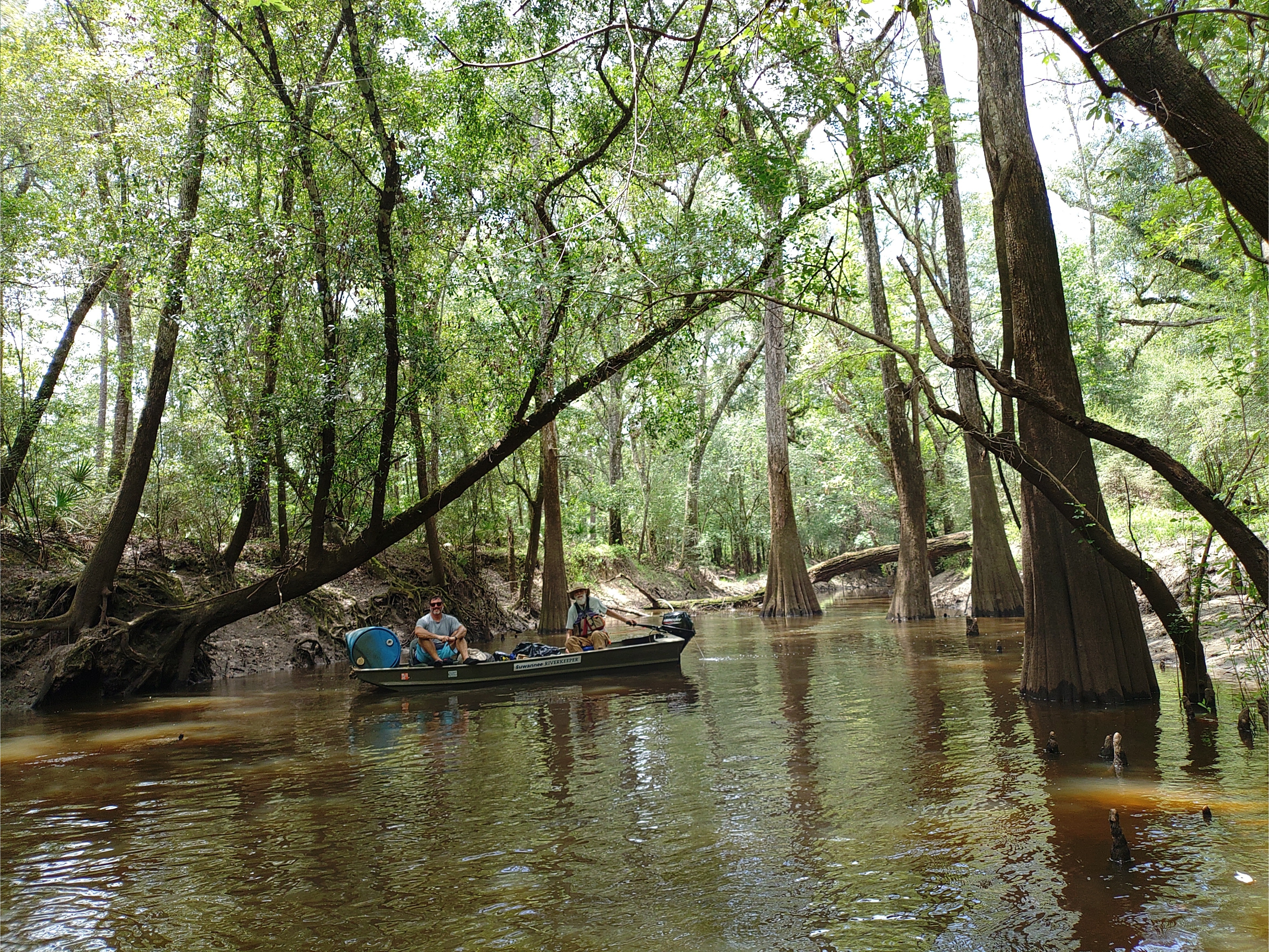 Blue Drum in Okapilco Creek at turnaround --Phil Royce, 2024:07:27 14:31:35