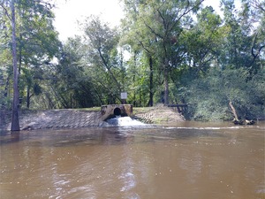 [Treated outfall of Valdosta Withlacoochee Wastewater Treatment Plant --Phil Royce, 2024:07:27 10:55:45]