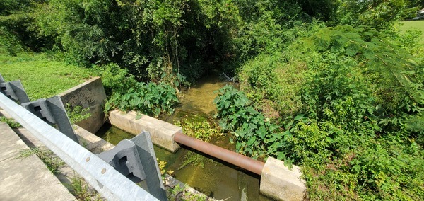 Two Mile Branch seen from Oak Street Bridge into McKey Park, 2024:08:01 15:48:54, 30.8633010, -83.2920907