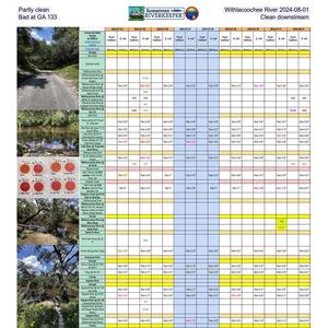 [Partly clean Withlacoochee River 2024-08-01: Bad at GA 133; Clean downstream]