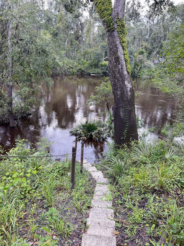 [Holly Point, Withlacoochee River @ NE Withla Bluffs Way 2024-08-07]