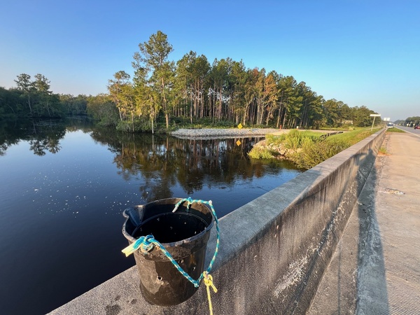 [Lakeland Boat Ramp, Alapaha River @ GA 122 2024-08-08]