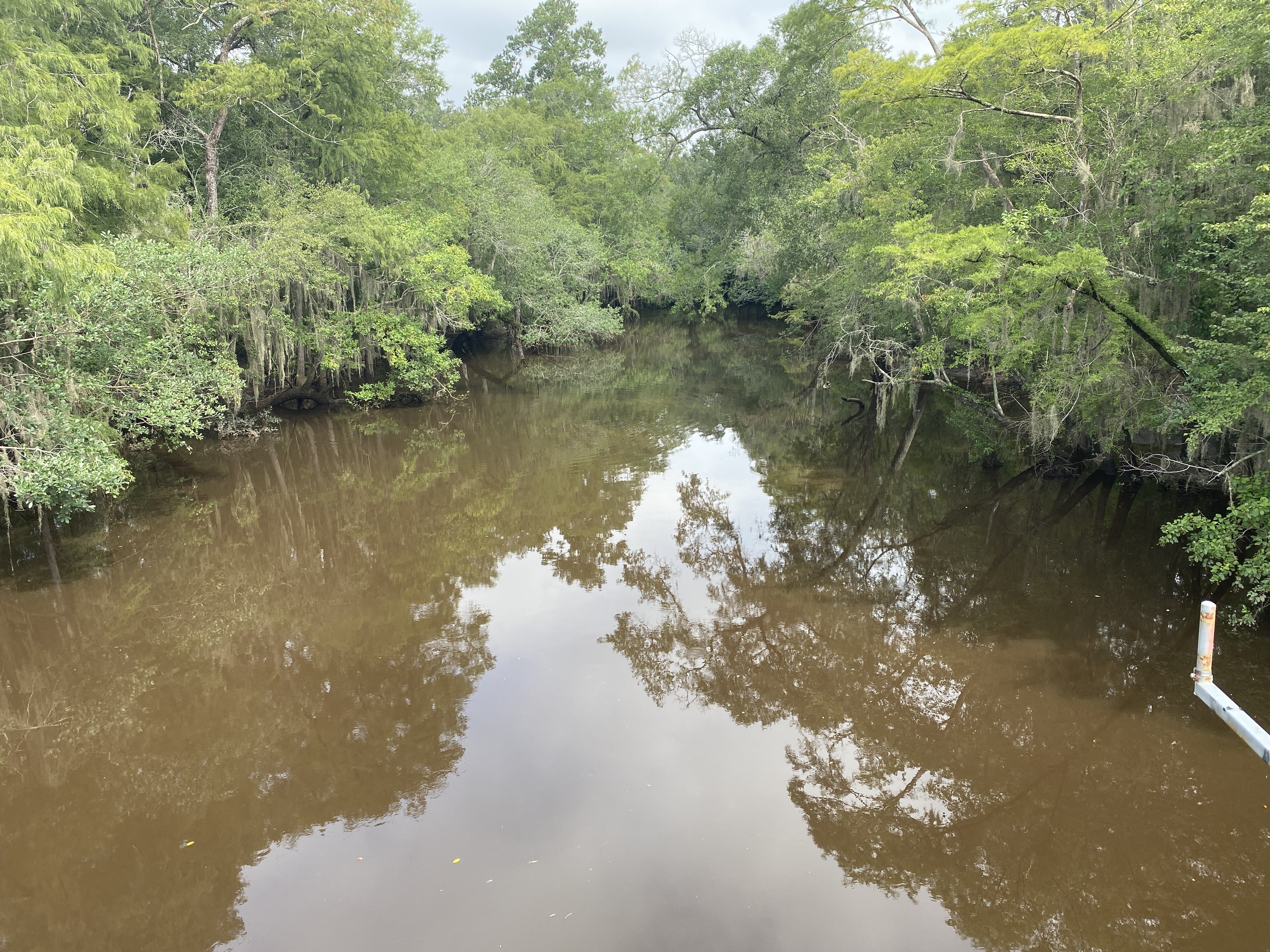 Sheboggy Boat Ramp, Alapaha River @ US 82 2024-08-01