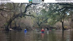 [Alapaha River to Suwannee River 2024-08-10, US 41 to Gibson Park, Up to Alapaha River Rise]