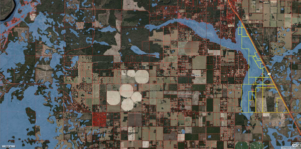 [Map: Floodplain, Long Pond to Suwannee River --Levy County Property Appraiser]