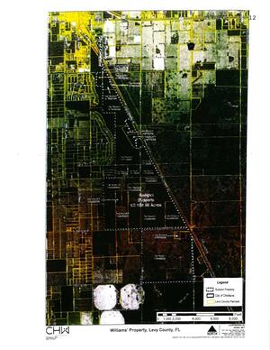 [Aerial Map: Williams Property, Levy County, FL]