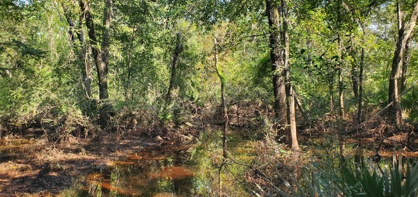 [Fourth flooded place, still 120 feet from the Little River Confluence, 16:47:34, 30.8481071, -83.3478864]