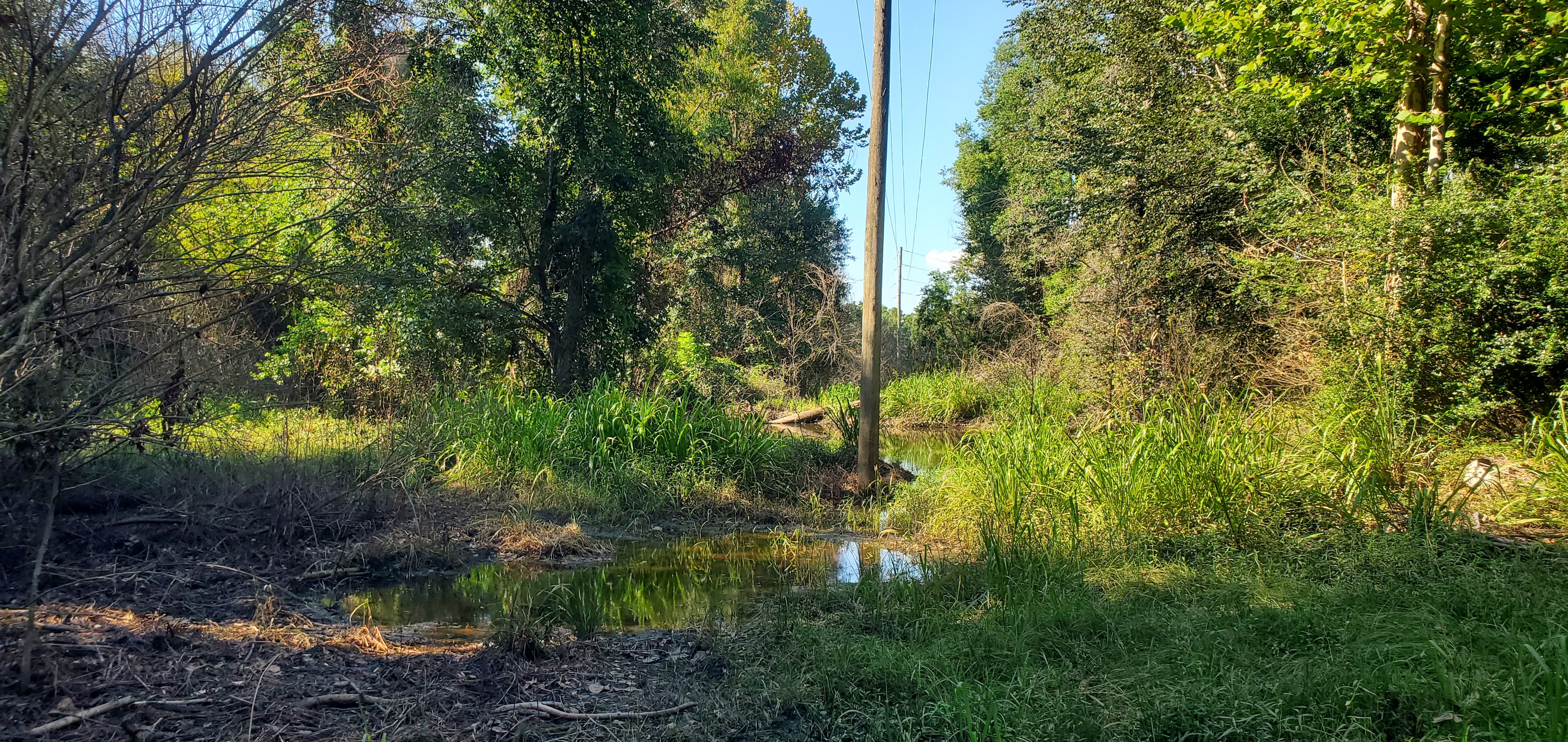 Power line across Sugar Creek at Salty Corner Landing, 17:14:00, 30.8618774, -83.3188021