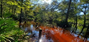 [Yes, this is the Withlacoochee River up here, 17:32:43, 30.8869137, -83.3233561]