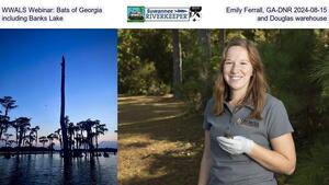 [WWALS Webinar: Bats of Georgia, Emily Ferrall, GA-EPD 2024-08-15, including Banks Lake and Douglas warehouse]