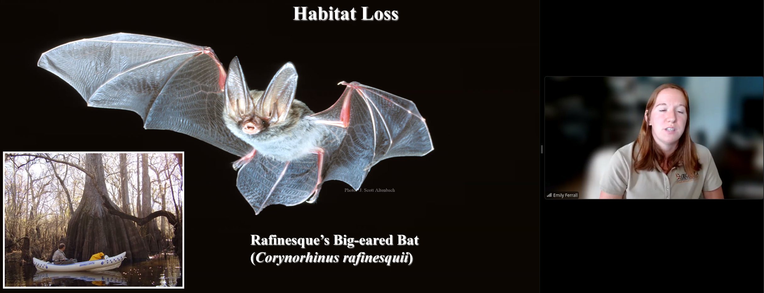 Habitat loss