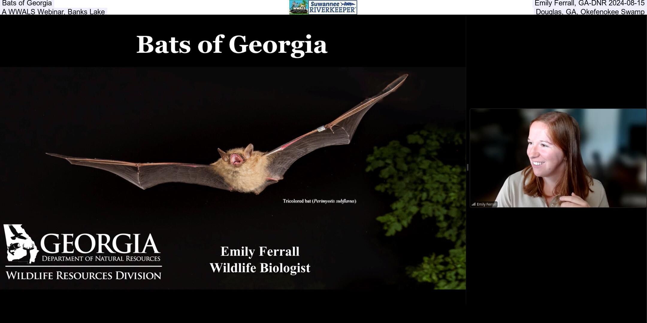 Bats of Georgia, Emily Ferrall, GA-DNR 2024-08-15, A WWALS Webinar, Banks Lake, Douglas, GA, Okefenokee Swamp