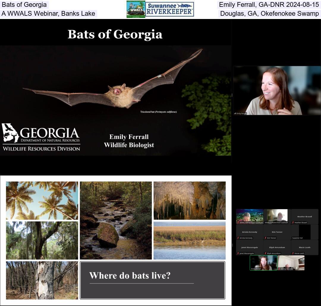 Bats of Georgia, Emily Ferrall, GA-DNR 2024-08-15, A WWALS Webinar, Banks Lake, Douglas, GA, Okefenokee Swamp