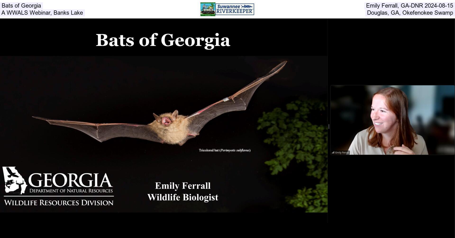 Bats of Georgia, Emily Ferrall, GA-DNR 2024-08-15, A WWALS Webinar, Banks Lake, Douglas, GA, Okefenokee Swamp