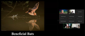 [Beneficial bats with audience]