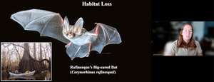 [Habitat loss]