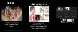 [Histoplasmosis]