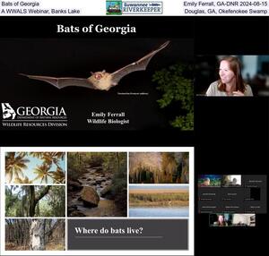 [Bats of Georgia, Emily Ferrall, GA-DNR 2024-08-15, A WWALS Webinar, Banks Lake, Douglas, GA, Okefenokee Swamp]