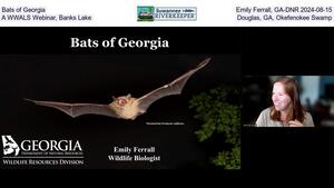 [Bats of Georgia, Emily Ferrall, GA-DNR 2024-08-15, A WWALS Webinar, Banks Lake, Douglas, GA, Okefenokee Swamp]