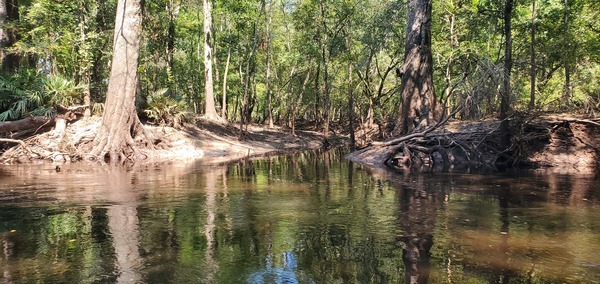 [Un-named right bank creek, 11:52:39, 30.8542901, -83.3379522]