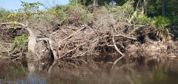 [Trash in brush, left bank, 11:56:37, 30.8507880, -83.3389840]