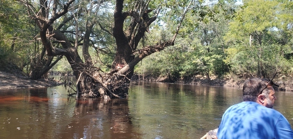 [Little River Confluence signs by Phil Hubbard, 12:18:16, 30.8469224, -83.3476647]