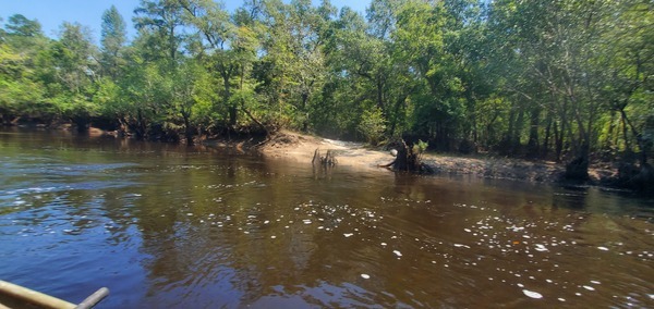 [Little River Confluence, 12:18:22, 30.8469224, -83.3476647]