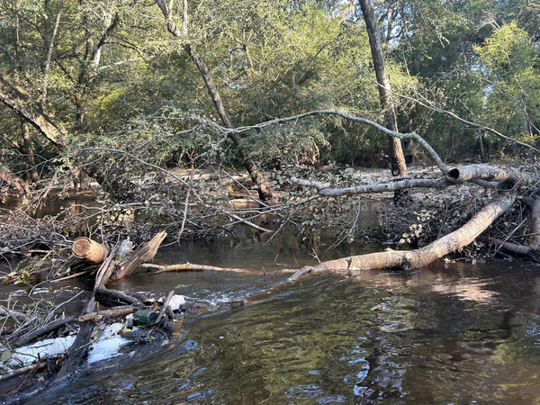 [Trash bottles right bank --Quen Metzler, 09:04:42, 30.8452222, -83.3441167]