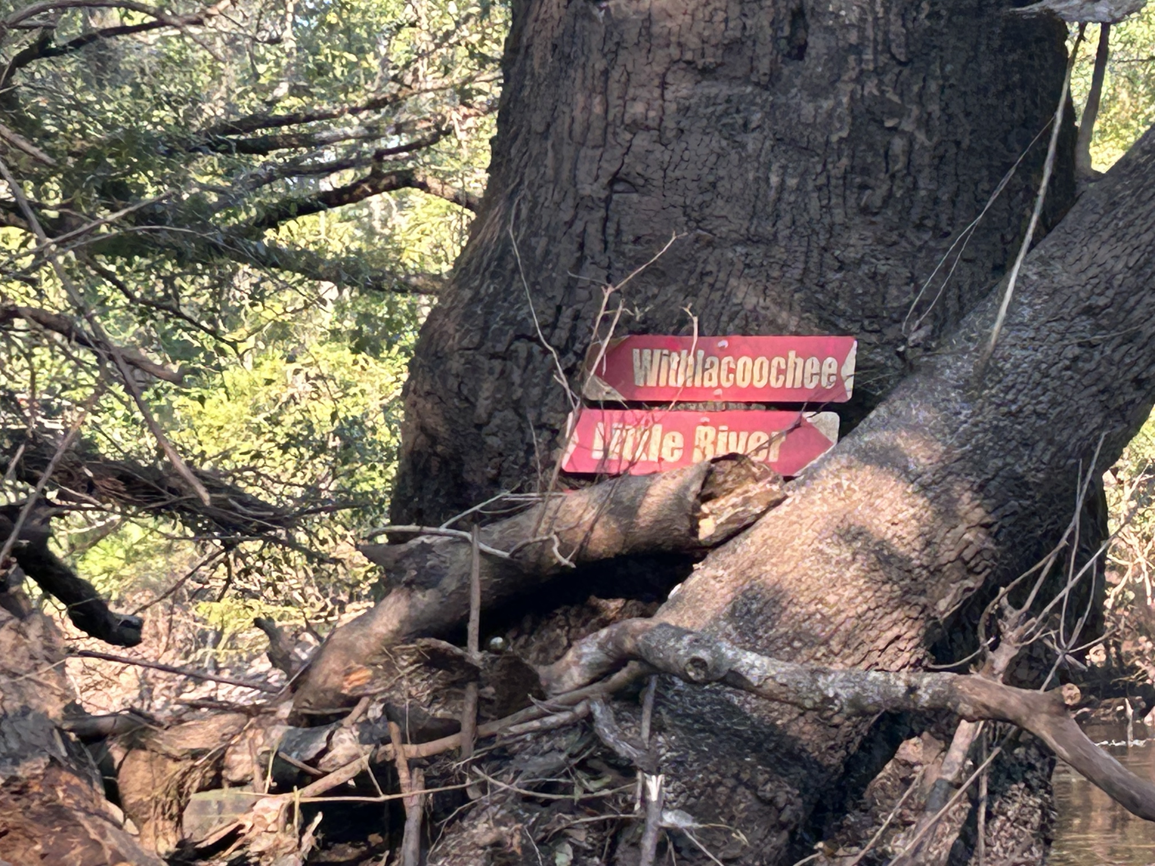 Little River Confluence signs by Phil Hubbard --Quen Metzler, 08:56:13, 30.8469500, -83.3476250