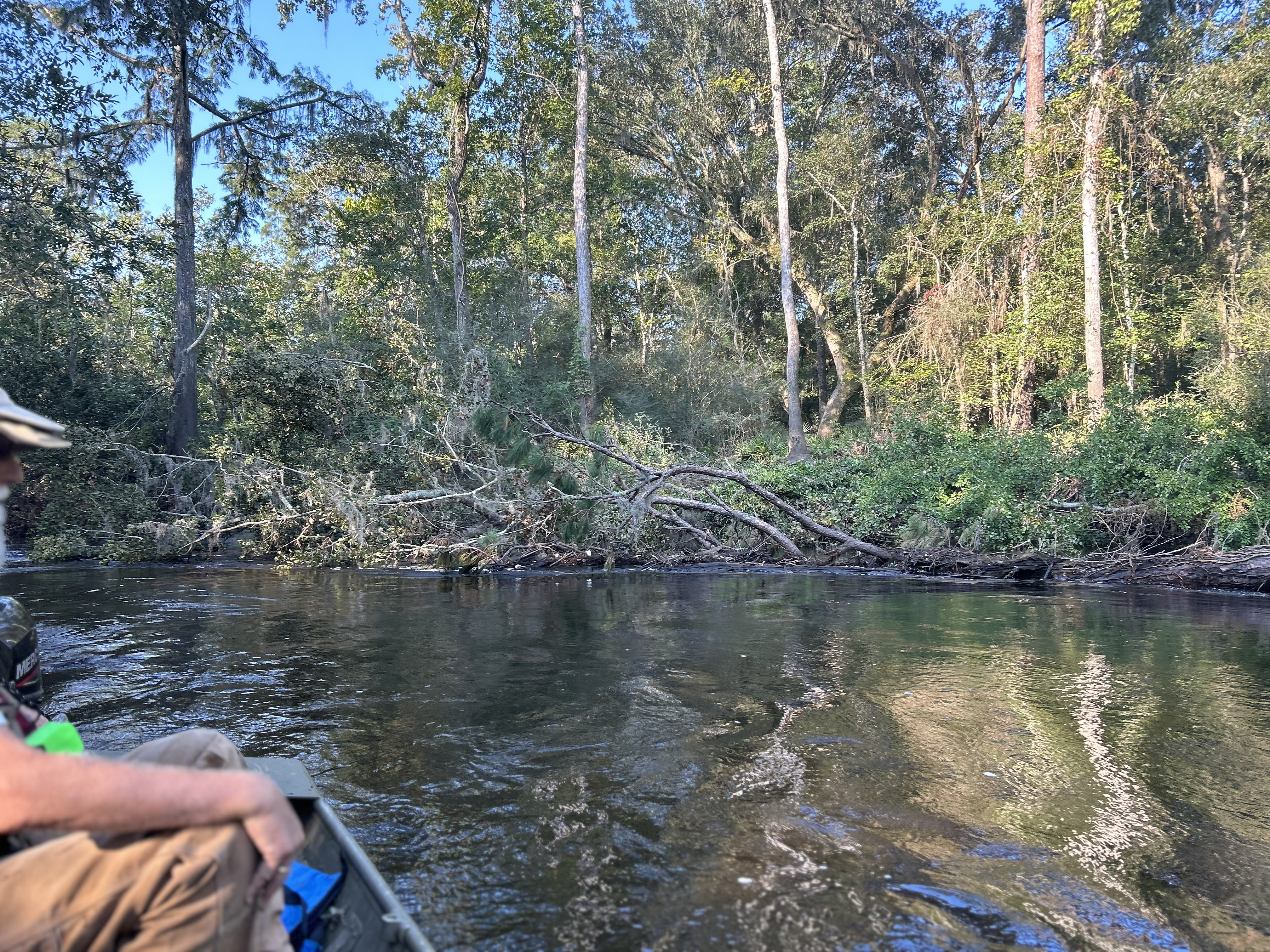 Trash on right bank --Quen Metzler, 09:06:16, 30.8458583, -83.3436056