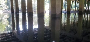 [Under the I-75 Bridge, 11:39:56, 30.8547260, -83.3349768]