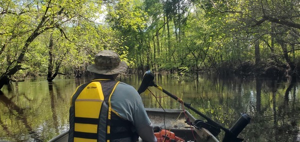 [Starting up the Withlacoochee River from the Little River Confluence, 2024-04-07, 15:29:40, 30.8462961, -83.3474578]