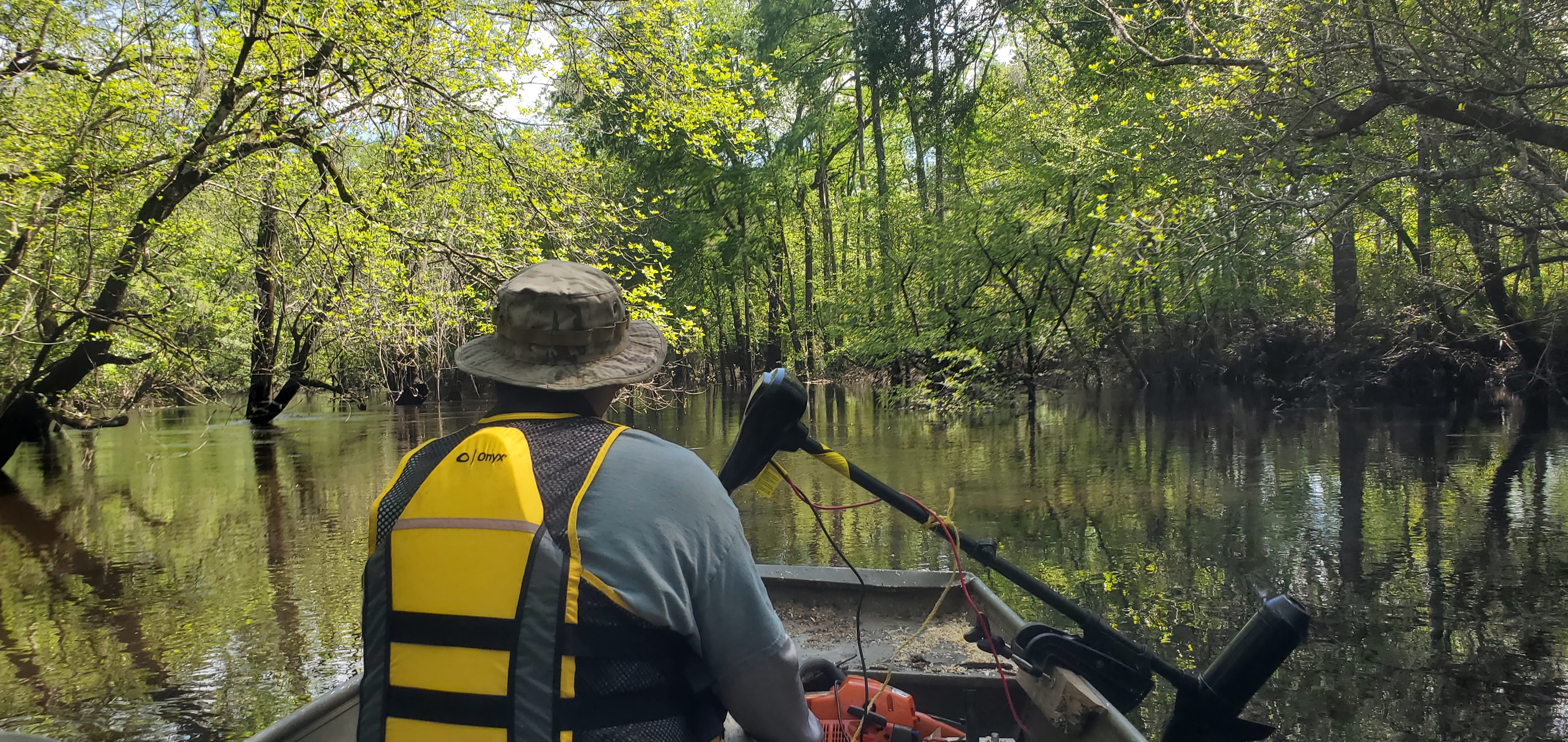 Starting up the Withlacoochee River from the Little River Confluence, 2024-04-07, 15:29:40, 30.8462961, -83.3474578