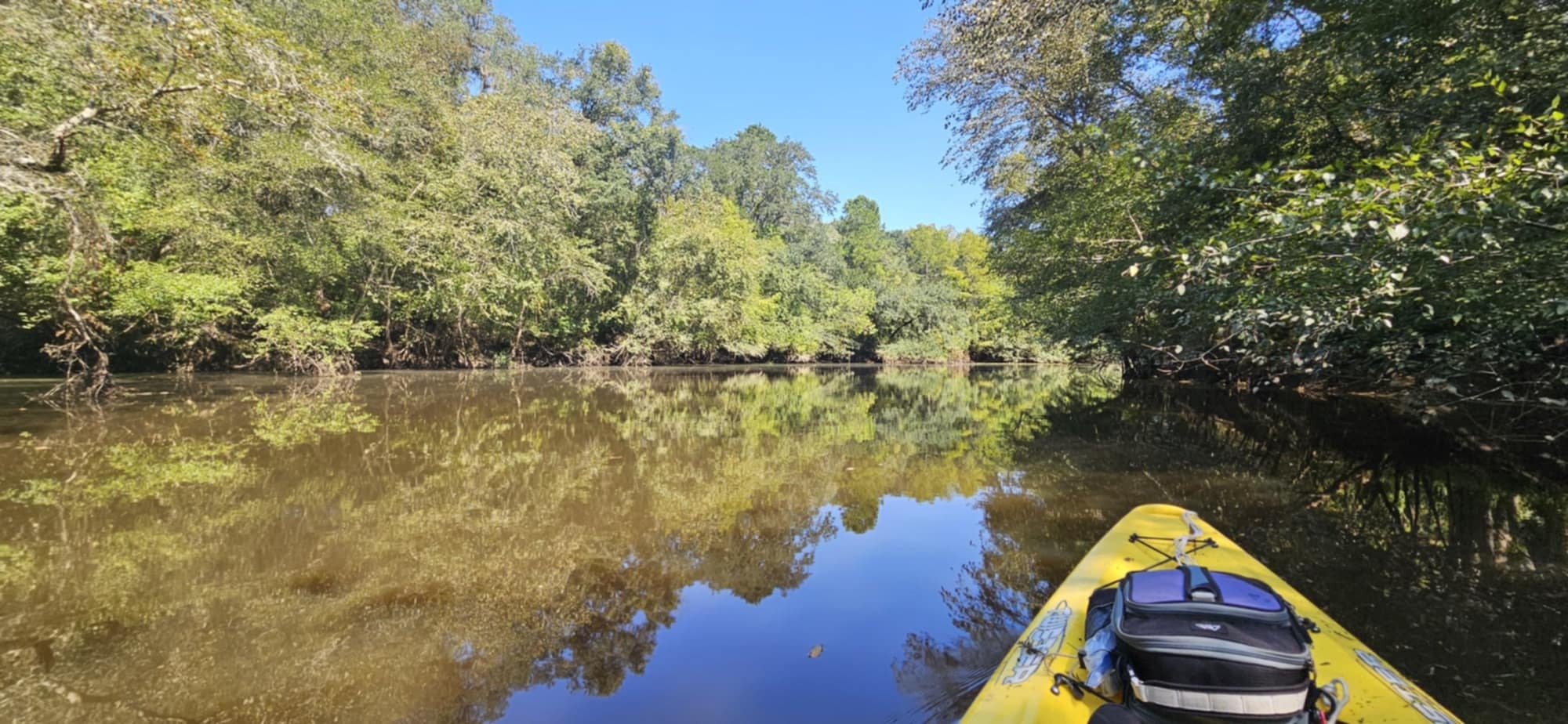 Rountree Lake --Darlene Eanes Ray