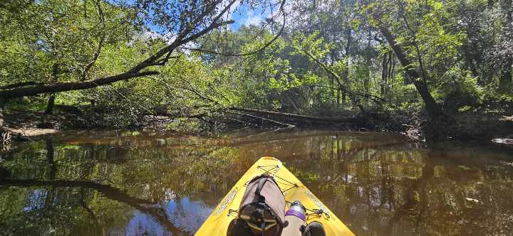 Poley Deadfall, between Flat Ford and Poley Branch --Darlene Eanes Ray, 31.2111666667, -83.5111111111