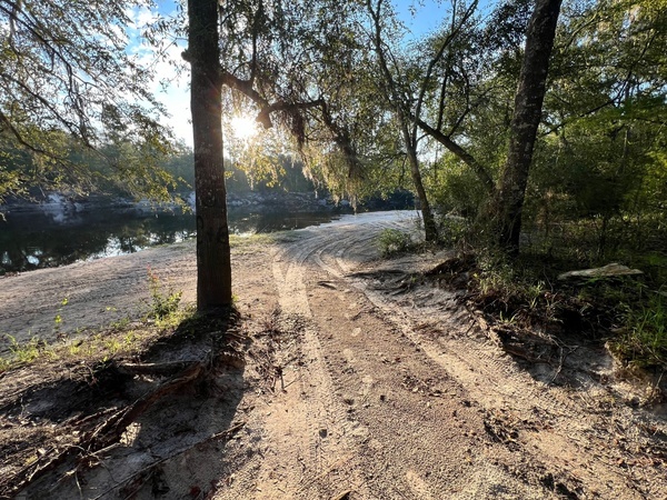 [Naylor Park Beach, Alapaha River @ US 84 2024-08-21]