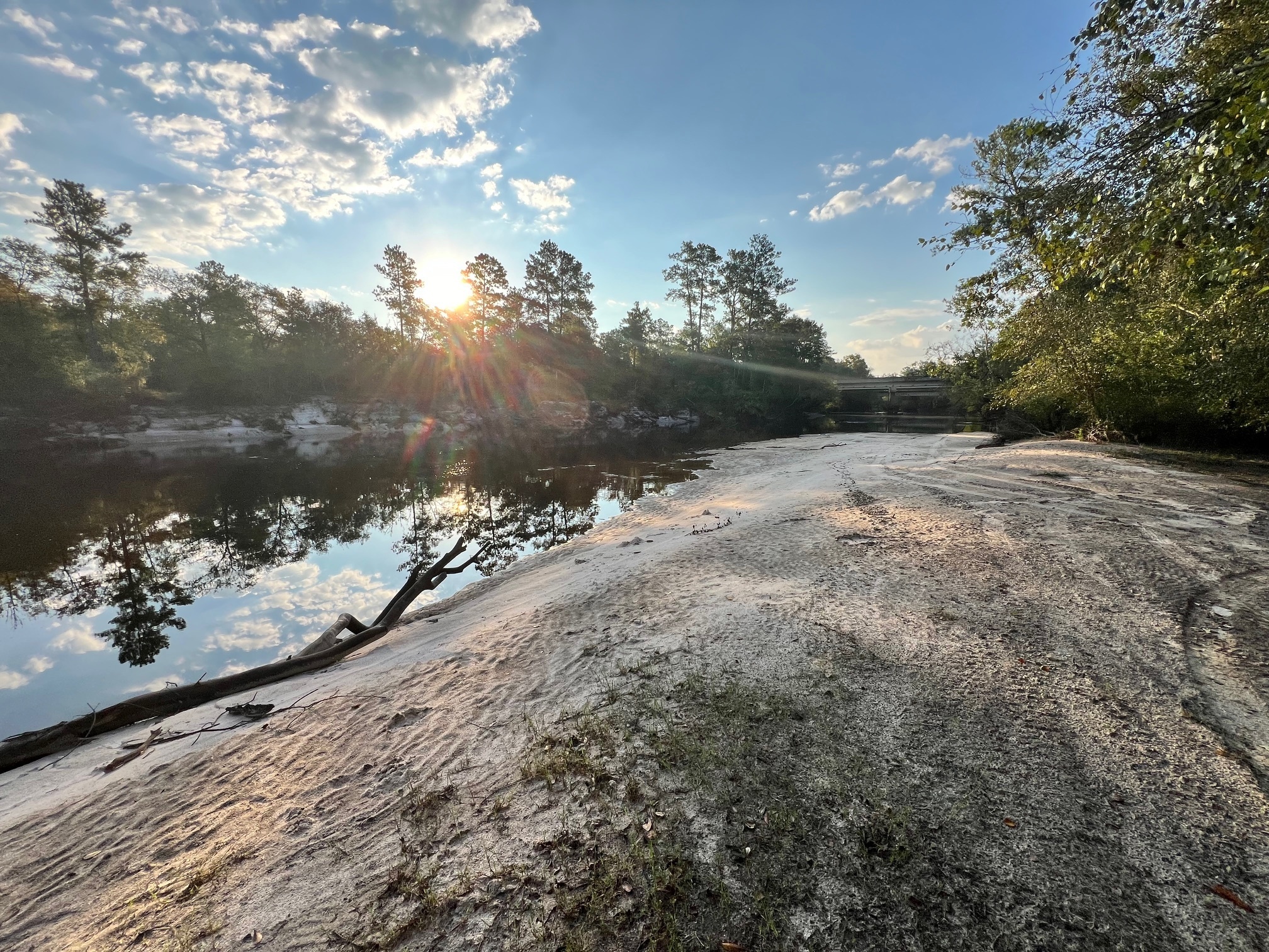 Upstream, Naylor Park Beach, Alapaha River @ US 84 2024-08-21