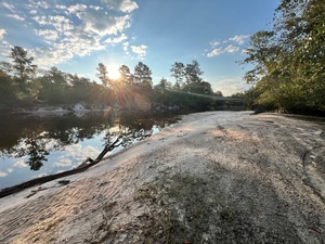 [Upstream, Naylor Park Beach, Alapaha River @ US 84 2024-08-21]