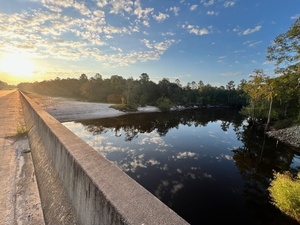 [Across, Lakeland Boat Ramp, Alapaha River @ GA 122 2024-08-22]