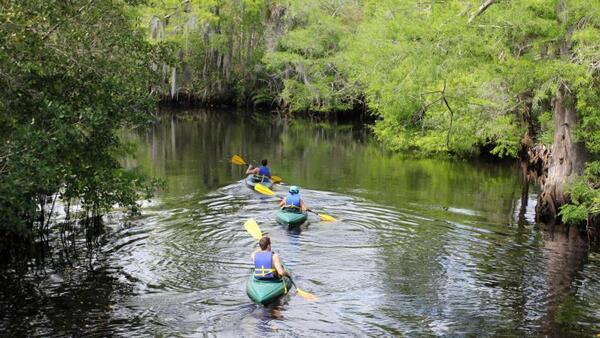 [Jonathan Dickinson State Park --Employee Doug Alderson --CentralDRP Paddlers on Kitching Creek]