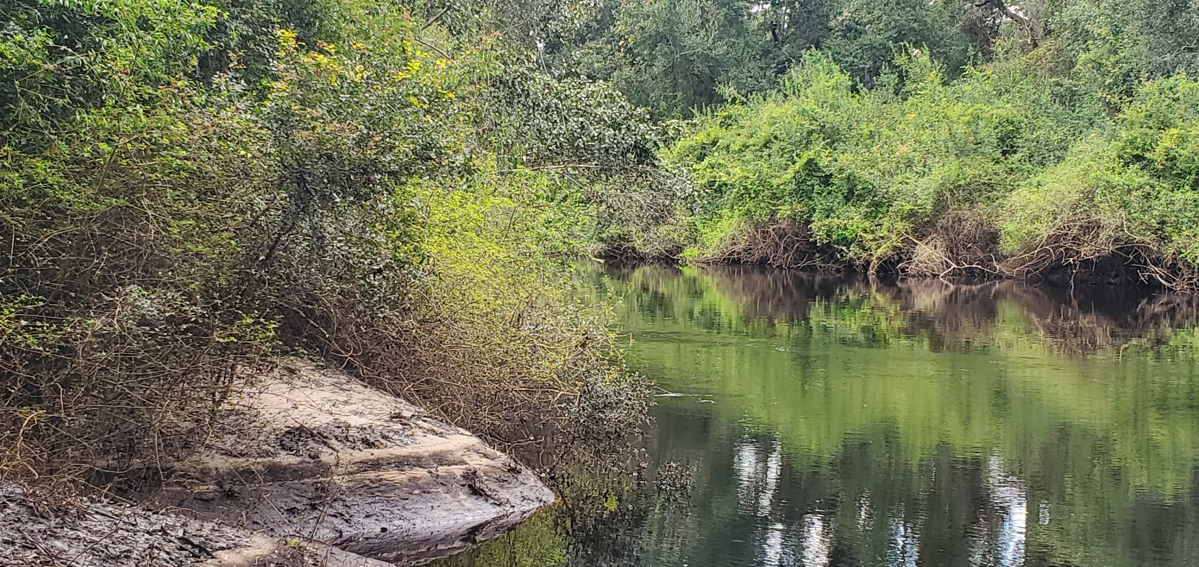 Upstream, Alapaha River, US 41 Bridge, 14:18:12, 30.5287833, -83.0389716