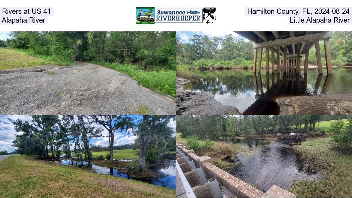 Rivers at US 41, Hamilton County, FL, 2024-08-24, Alapaha River, Little Alapaha River