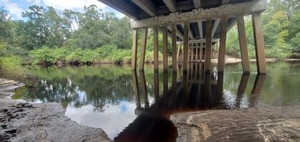 [Water level, Alapaha River, under US 41 Bridge, 14:17:47, 30.5287572, -83.0390289]