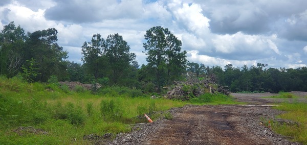 Zoomed Cat Creek Biosolids Site, 14:48:35, 30.4845661, -82.9514200