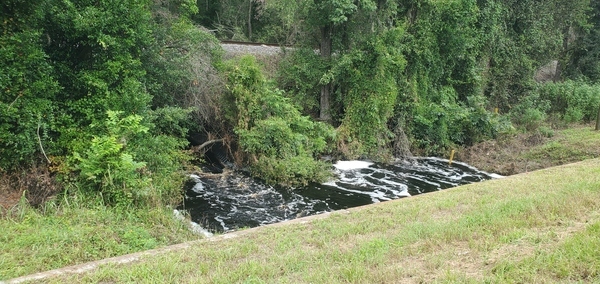 Upstream Bell Creek between Railroad and US 41, 15:10:13, 30.4965150, -82.9333430