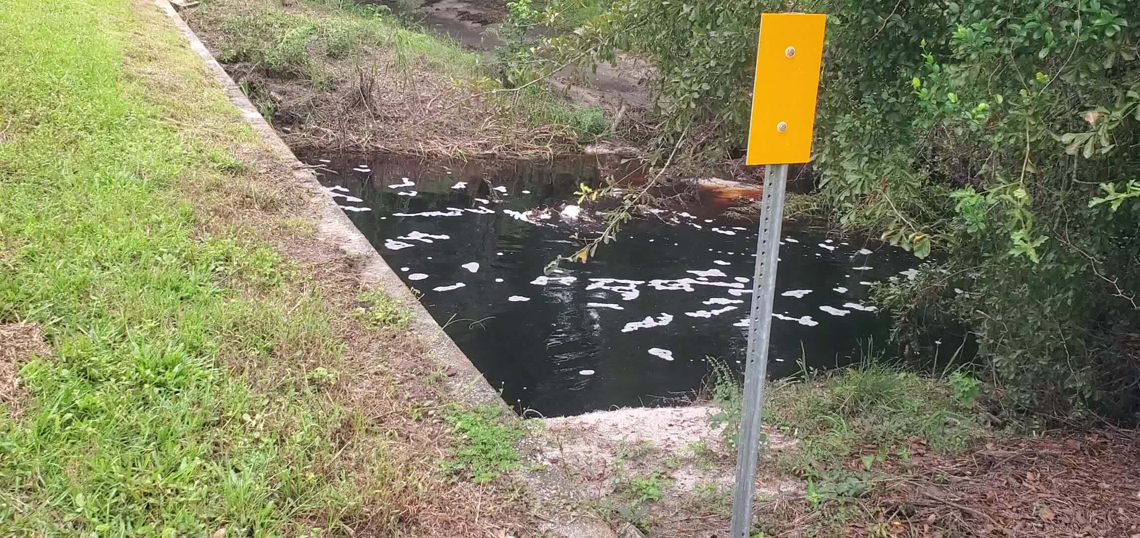 Movie: Downstream Bell Creek @ US 41, flowing west, 15:08:52, 30.4964624, -82.9334971 (57M)