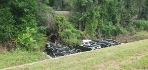 [Upstream Bell Creek between Railroad and US 41, 15:10:13, 30.4965150, -82.9333430]