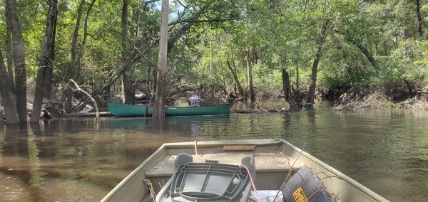 [Picnic Table Deadfall the first downstream deadfall, 11:30:21, 30.8989436, -83.3316774]