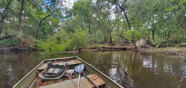 Context: Park End Deadfall, 12:52:36, 30.8758991, -83.3247699