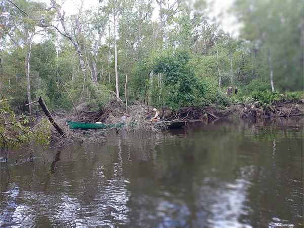 [TJ tieing rope for jsq to tow debris at Fae Deadfall --Phil Royce, 12:29:50, 30.87945, -83.3262]